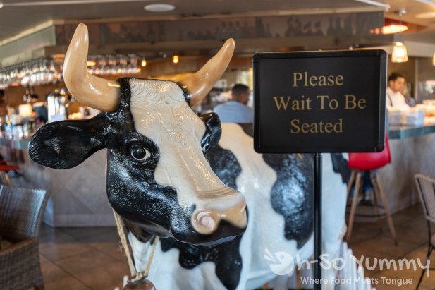 Cow welcome at Toast Gastrobrunch in Carlsbad