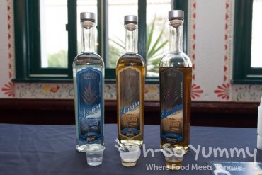 Tequila Trail 2013 - Azunia Tequila Tequila Trail 2013 - Azunia Tequila