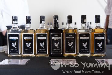 Sotol El Gorrioncillo Sotol El Gorrioncillo