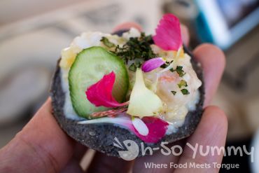 Sabor Latino Wine Beer and Food Festival (San Diego Latino Film Festival 2017) Sabor Latino Wine Beer and Food Festival (San Diego Latino Film Festival 2017)