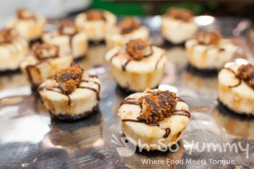 Samoa Cheesecake from Island Prime C Level Samoa Cheesecake from Island Prime C Level