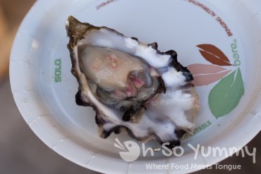 Ironside Fish and Oysters at Taste of Little Italy 2015 Ironside Fish and Oysters at Taste of Little Italy 2015