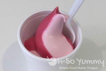 Taste of North Park 2014 - yogurt swirl from Yog-Art Frozen Yogurt Taste of North Park 2014 - yogurt swirl from Yog-Art Frozen Yogurt