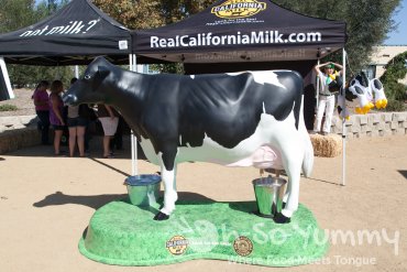 The Wedge Escondido 2014 - sponsored by Real California Milk The Wedge Escondido 2014 - sponsored by Real California Milk