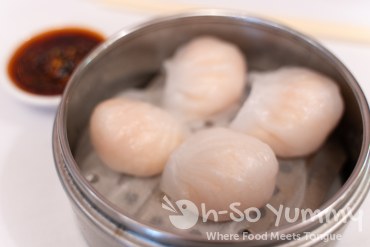 Dim Sum at Jasmine Seafood in San Diego Dim Sum at Jasmine Seafood in San Diego