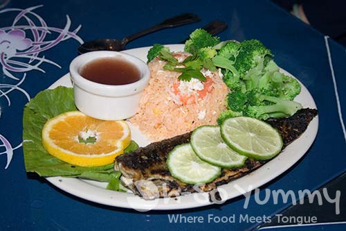 grilled fish grilled fish