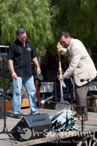 Spirits of Mexico Tequila Trail agave plant Spirits of Mexico Tequila Trail agave plant