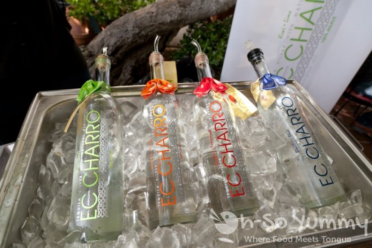 Spirits of Mexico Tequila Trail El Capote Charro Spirits of Mexico Tequila Trail El Capote Charro