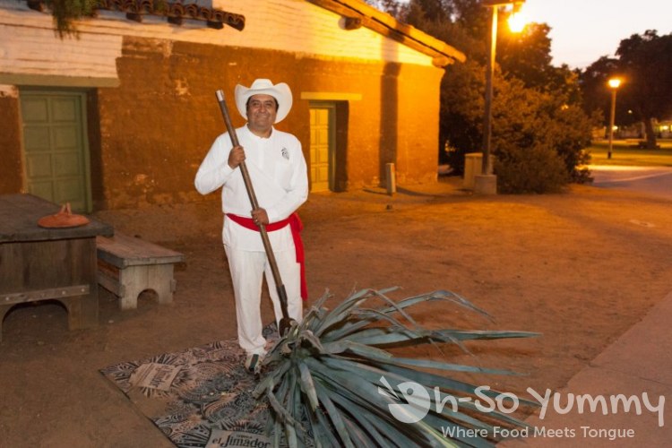 Tequila Trail 2013 - Agave Plant demonstration Tequila Trail 2013 - Agave Plant demonstration