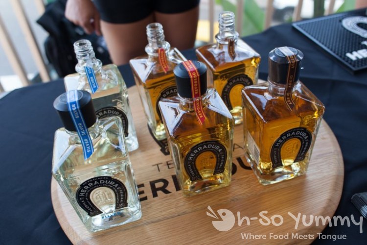 Tequila Trail 2013 - Herradura Tequila Tequila Trail 2013 - Herradura Tequila