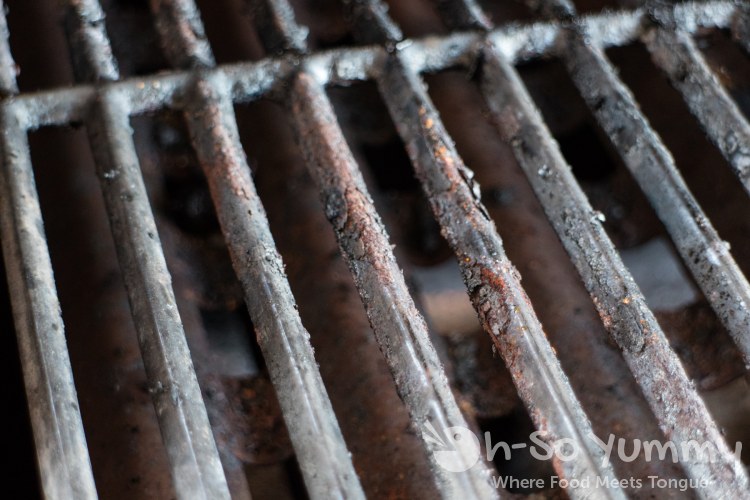 Chipped Porcelain Grates Chipped Porcelain Grates