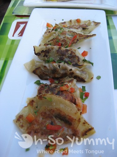 Dumpling Sampler Dumpling Sampler