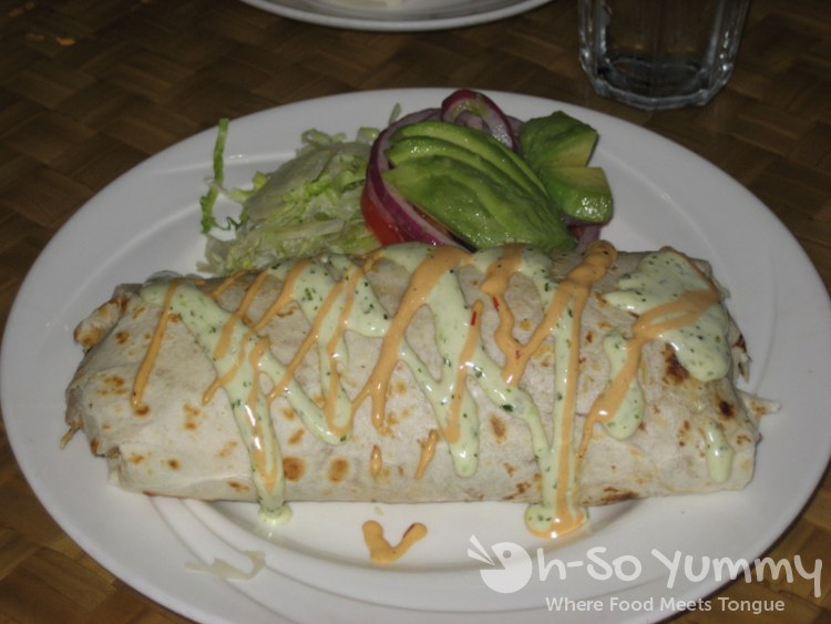 Chicken Burrito Chicken Burrito