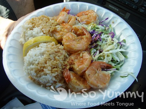Grasshopper Shrimp Plate Grasshopper Shrimp Plate