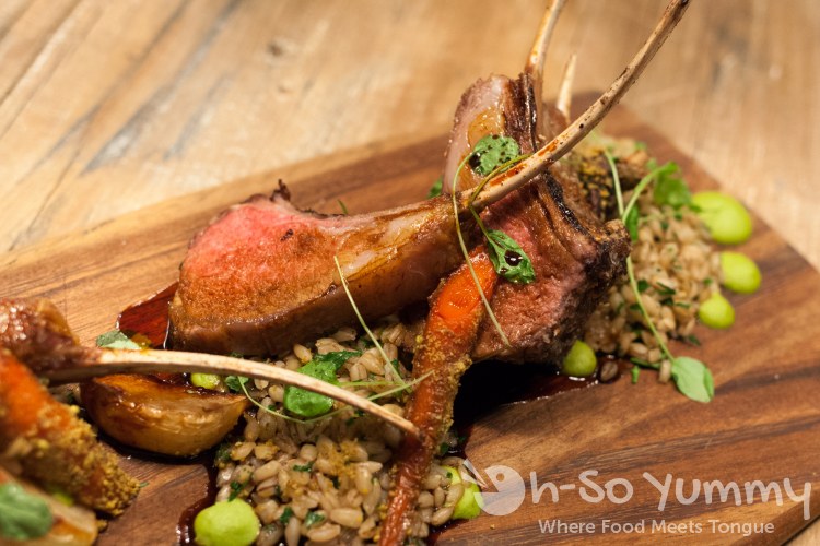 Rack of Lamb at AVANT in Rancho Bernardo Inn Rack of Lamb at AVANT in Rancho Bernardo Inn