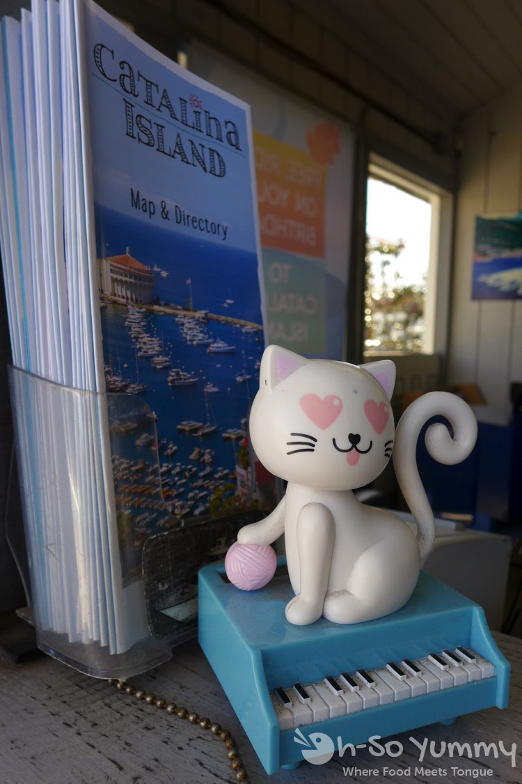 catalina express to Avalon on Catalina Island catalina express to Avalon on Catalina Island