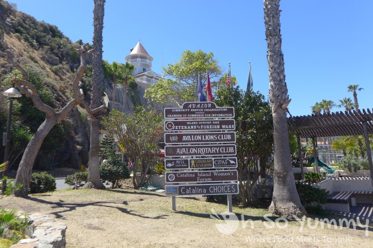 beautiful city of Avalon on Catalina Island beautiful city of Avalon on Catalina Island