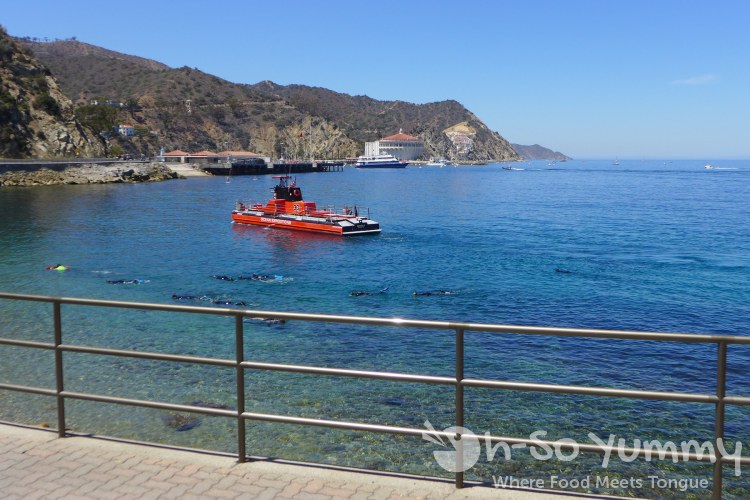 beautiful view from Avalon on Catalina Island beautiful view from Avalon on Catalina Island