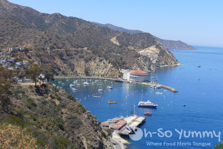 beautiful view from Avalon on Catalina Island beautiful view from Avalon on Catalina Island