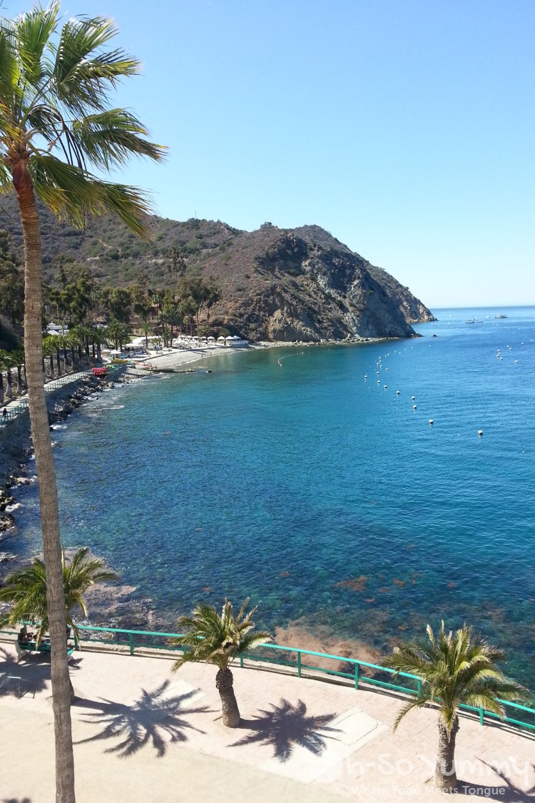 catalina island birthday trip