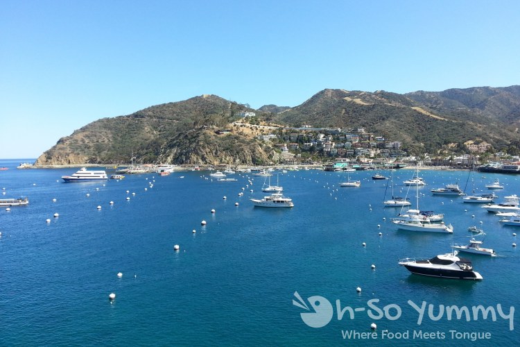 beautiful view from Avalon on Catalina Island beautiful view from Avalon on Catalina Island
