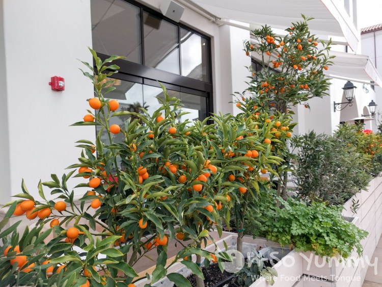 fruits and herbs grown at Crudo by Pascal Lorange fruits and herbs grown at Crudo by Pascal Lorange