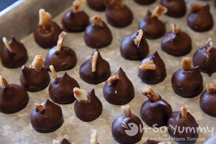 Escondido Chocolate Festival 2014 - Winz Wine Bar - Bacon Chocolate Truffles Escondido Chocolate Festival 2014 - Winz Wine Bar - Bacon Chocolate Truffles