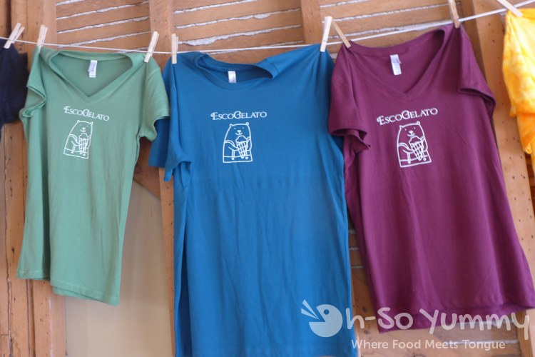 Escondido Chocolate Festival 2014 - Esco Gelato shirt Escondido Chocolate Festival 2014 - Esco Gelato shirt