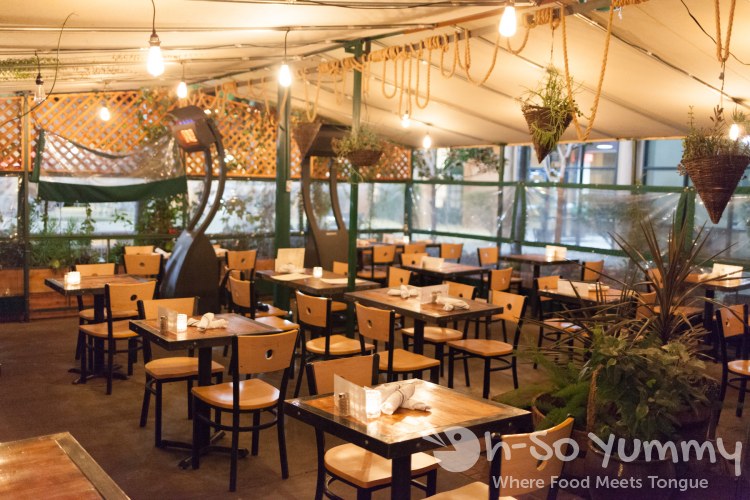 outdoor patio at Fig Tree Cafe (Liberty Station) outdoor patio at Fig Tree Cafe (Liberty Station)