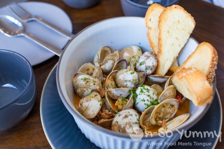 Manila Clams at Fishmonger's Market in San Diego Manila Clams at Fishmonger's Market in San Diego
