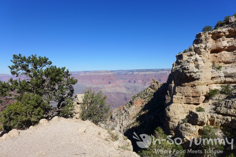 Grand Canyon view Grand Canyon view