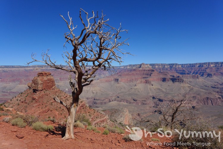 Grand Canyon view Grand Canyon view