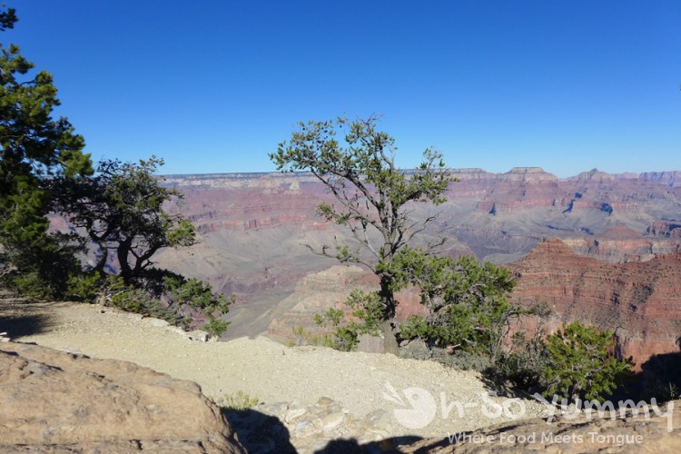 Grand Canyon view Grand Canyon view