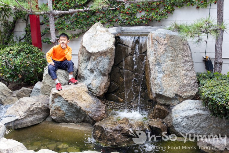 waterfall pond outside Grand Garden in Westminster waterfall pond outside Grand Garden in Westminster