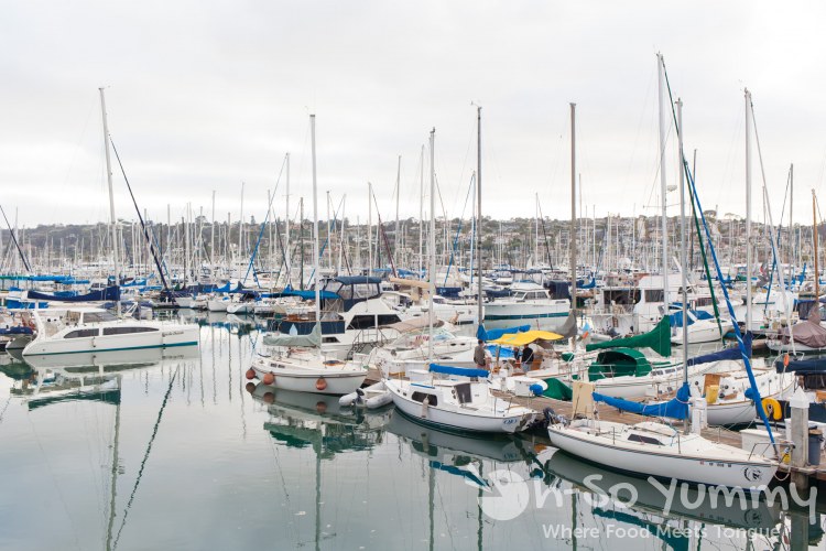 view of the pier from the window at Humphreys view of the pier from the window at Humphreys