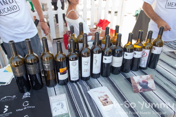 Wine samples at Latin Food Fest San Diego Wine samples at Latin Food Fest San Diego
