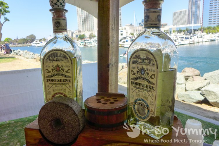 fortaleza by the ocean at latin food fest fortaleza by the ocean at latin food fest
