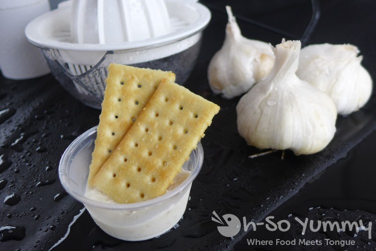 the pampered chef at lemon zest and garlic festival 2015 the pampered chef at lemon zest and garlic festival 2015