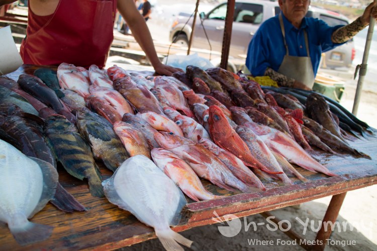 fresh fish at the fishing village of Popotla, B.C., Mexico fresh fish at the fishing village of Popotla, B.C., Mexico