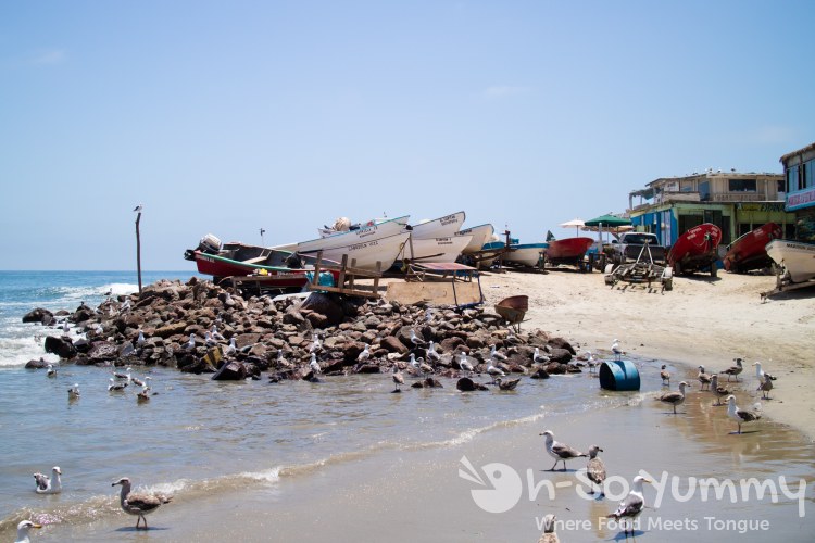 fishing village of Popotla, B.C., Mexico fishing village of Popotla, B.C., Mexico