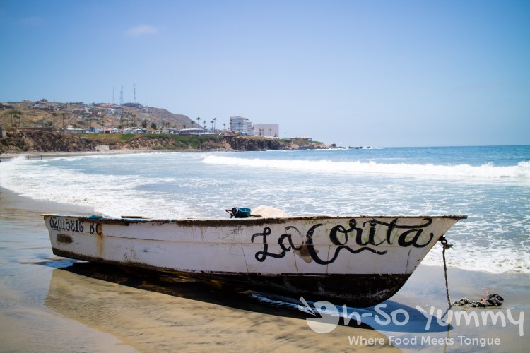 fishing boat on the beach of the fishing village of Popotla, B.C., Mexico fishing boat on the beach of the fishing village of Popotla, B.C., Mexico