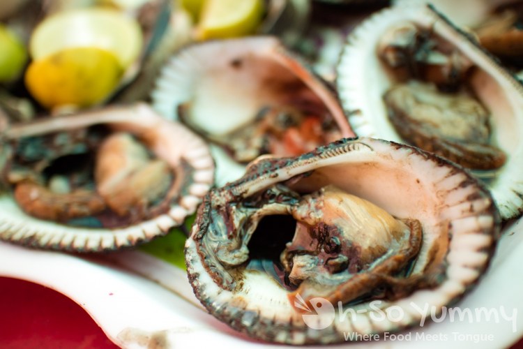 clams from Mariscos Reyna at the fishing village of Popotla, B.C., Mexico clams from Mariscos Reyna at the fishing village of Popotla, B.C., Mexico