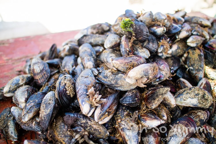 fresh clams at the fishing village of Popotla, B.C., Mexico fresh clams at the fishing village of Popotla, B.C., Mexico