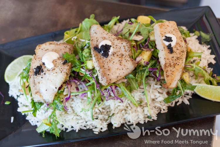 wonton fish tacos at MishMash wonton fish tacos at MishMash