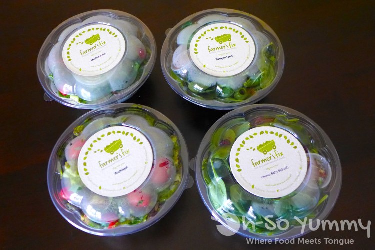 Farmer's Fix salads chilled in the bag Farmer's Fix salads chilled in the bag