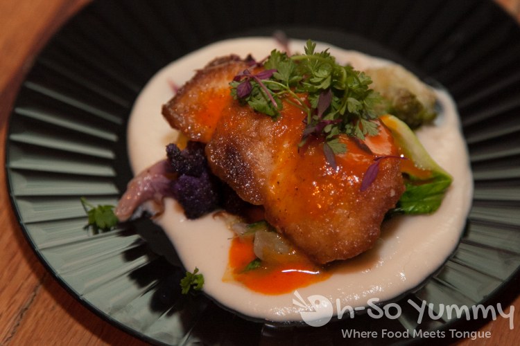 Mahi Mahi at OB Warehouse in San Diego, CA Mahi Mahi at OB Warehouse in San Diego, CA