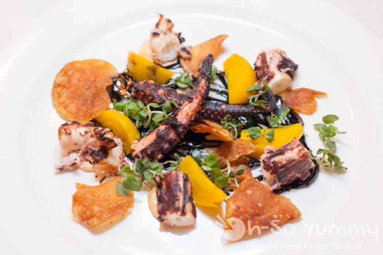 Octopus at Pacifica Del Mar Octopus at Pacifica Del Mar