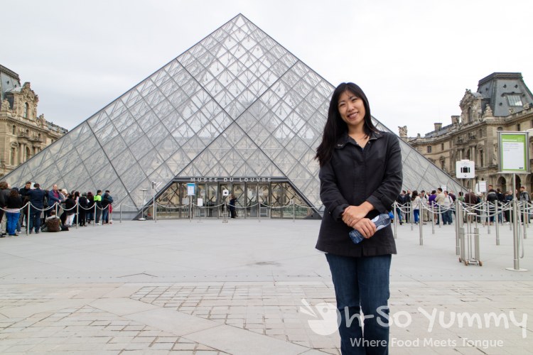 The Louvre Museum in Paris France The Louvre Museum in Paris France