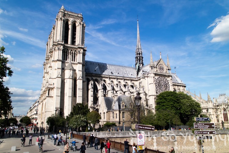 Notre Dame in Paris France Notre Dame in Paris France