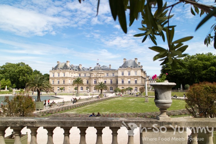 Jardin du Luxembourg in Paris France Jardin du Luxembourg in Paris France